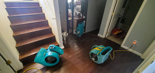 Best Water damage cleanup near me  in Midway, KY
