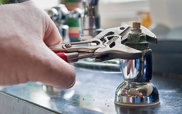 Best Mold removal after water damage  in Midway, KY