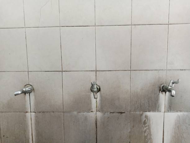 Best Ceiling water damage repair  in Midway, KY