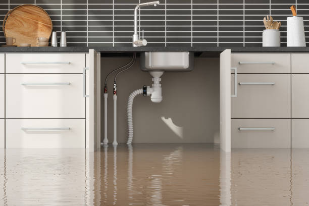 Best Flooded house restoration  in Midway, KY