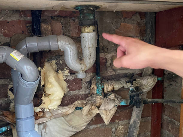 Best Flood damage cleanup  in Midway, KY