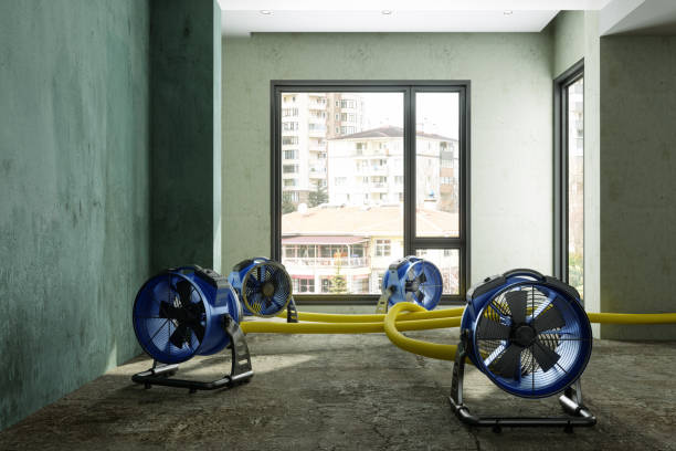 Best Water damage restoration process  in Midway, KY