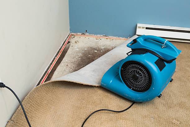 Best Water damage repair service  in Midway, KY