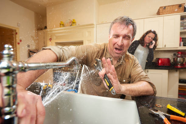 Best Carpet water damage restoration  in Midway, KY